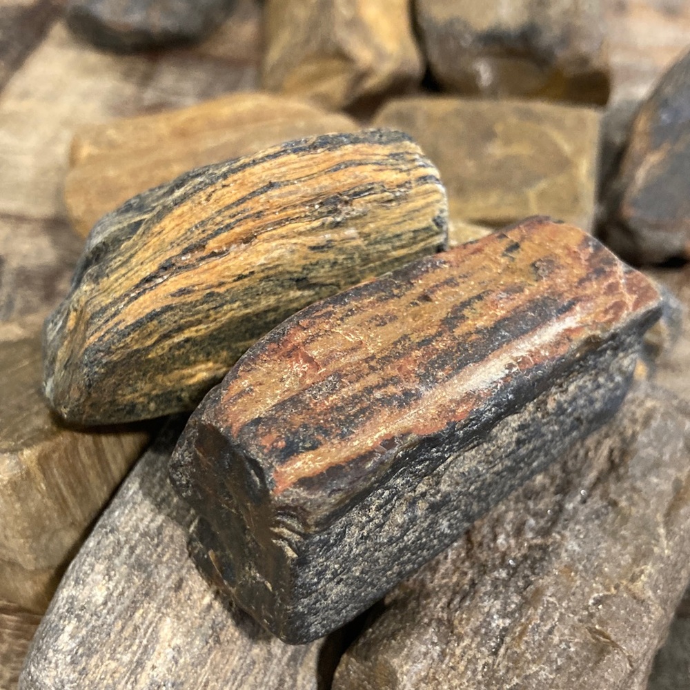 17pcs Petrified Wood 🪵 Rock Collection - Picture 16 of 17
